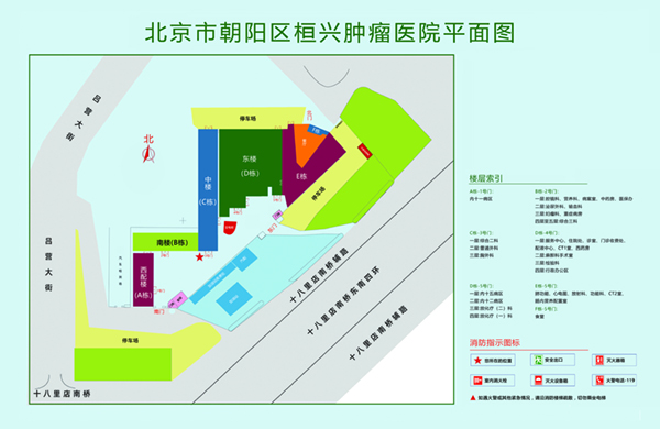 啊啊啊啊操逼逼北京市朝阳区桓兴肿瘤医院平面图